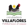 incubadora_villaflores